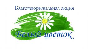 В поселке Черноморское пройдет благотворительная акция «Белый цветок»